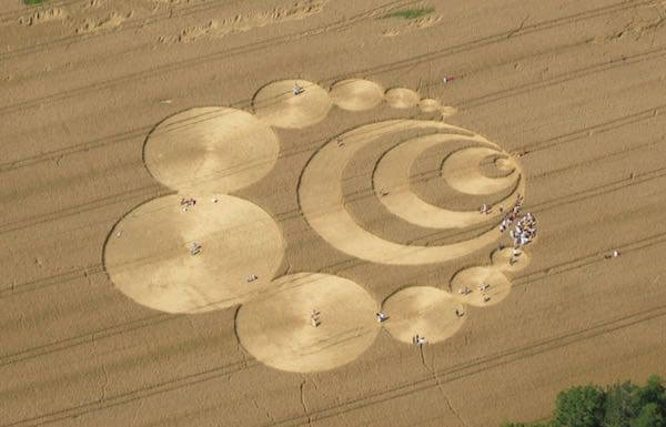 Crop circles in a field from overhead